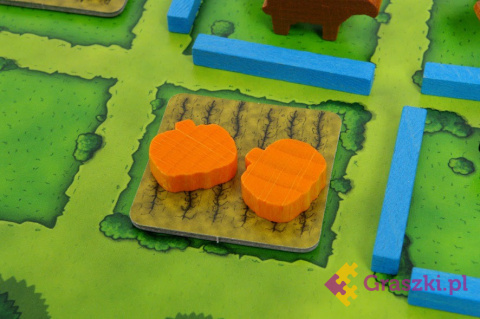 Agricola dynie Agricola dynie