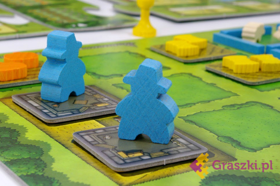 Agricola pionki Agricola pionki