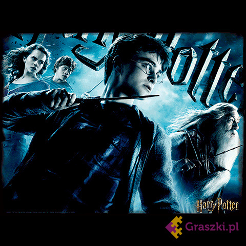 Harry Potter: Magiczne puzzle - Harry (500 elementów) harry