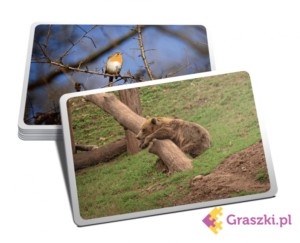 Obrazki karty Obrazki karty