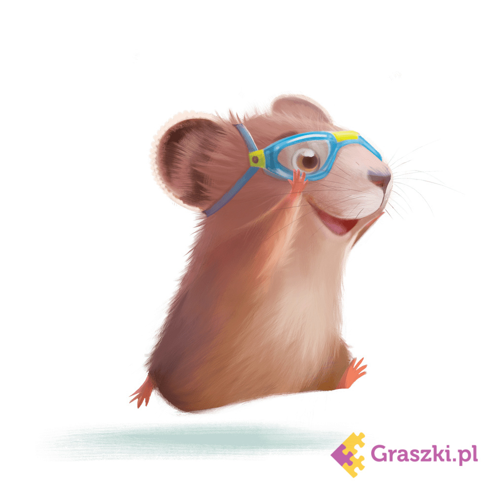 Żółwik Plusk! słoń Żółwik Plusk! słoń