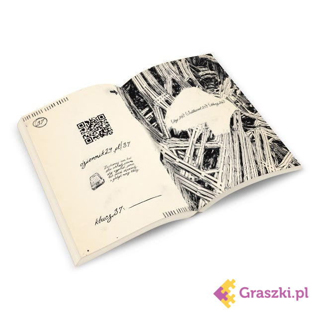 Dziennik 29 komiks Dziennik 29 komiks