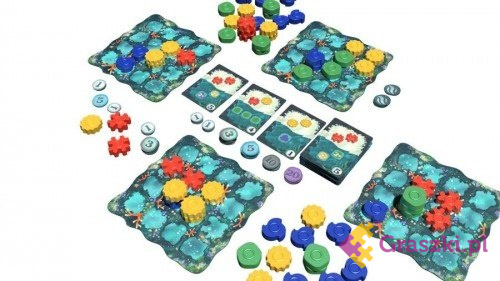 Reef elementy Reef elementy