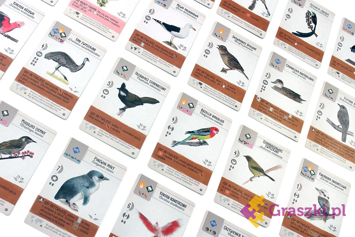 Na skrzydłach: Ptaki Oceanii karty