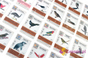 Na skrzydłach: Ptaki Oceanii karty