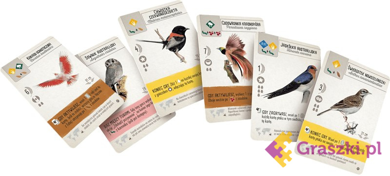 Na skrzydłach: Ptaki Oceanii karty4