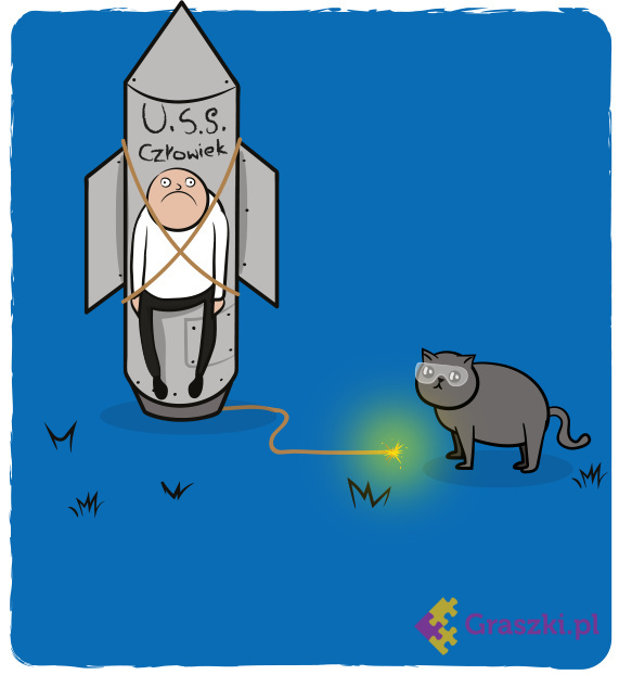 Frywolne kotki kot kosmos