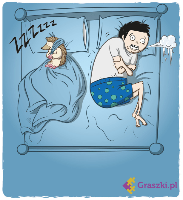 Szczekające Kotki obrazek 2 Szczekające Kotki obrazek 2